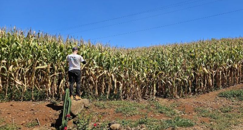 Epagri e Sicoob promovem Giro da Safra no Oeste de SC
