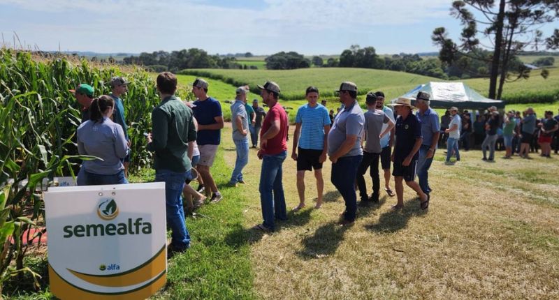 Cooperalfa realiza dia de campo em Abelardo Luz
