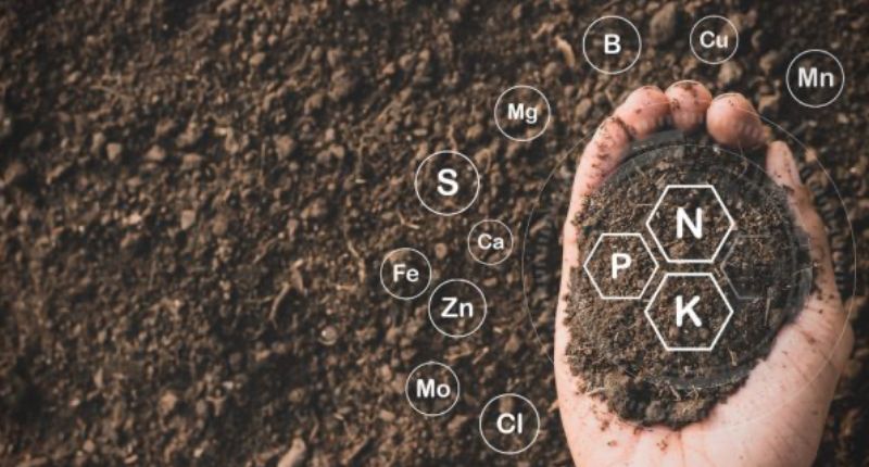 Preços de fertilizantes sobem até 25% no Brasil no 1º semestre de 2025